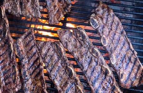 What You Should Know About Primo Grills – BBQ Outfitters